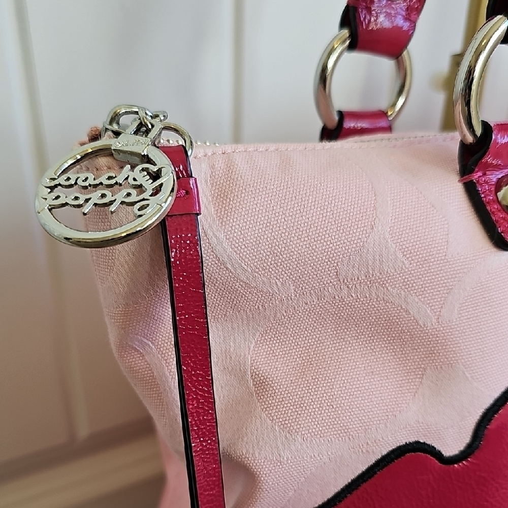 Coach Poppy 2010 Pink Ombré Floral Appliqué Glam Tote 3 Hangtags - Picture 7 of 17